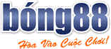 cricket betting tips free video